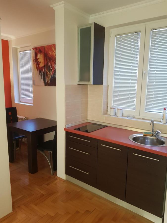 Rajiceva 5- Apartman Sa Prostranom Terasom I Garaznim Mestom Kragujevac Bagian luar foto
