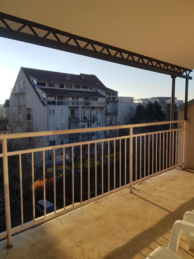 Rajiceva 5- Apartman Sa Prostranom Terasom I Garaznim Mestom Kragujevac Bagian luar foto